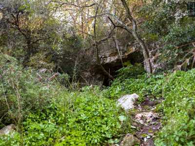 Procediamo sin quando sul versante opposto del �canyon� intravediamo tra la vegetazione una cavit�: � l�ingresso principale della Grotta di Monsignore